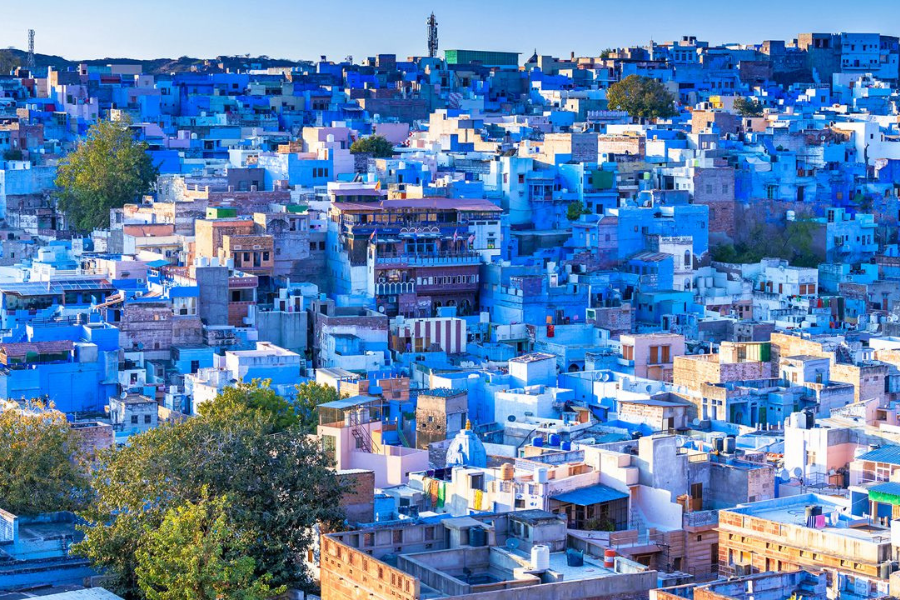 Untitled design (16)