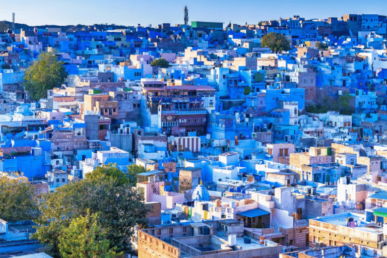 Untitled design (16)