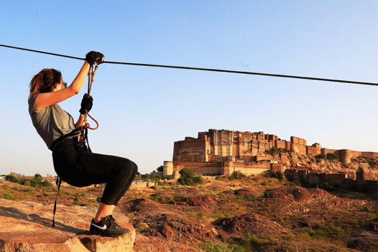 Untitled design (17)