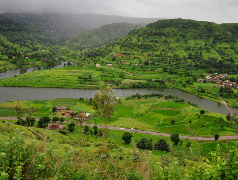 Untitled design (22)