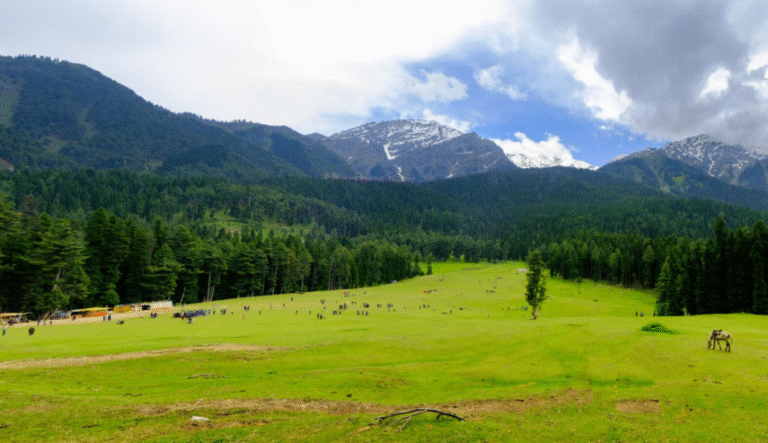 Untitled design (40)