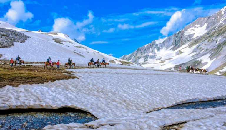 Untitled design (46)