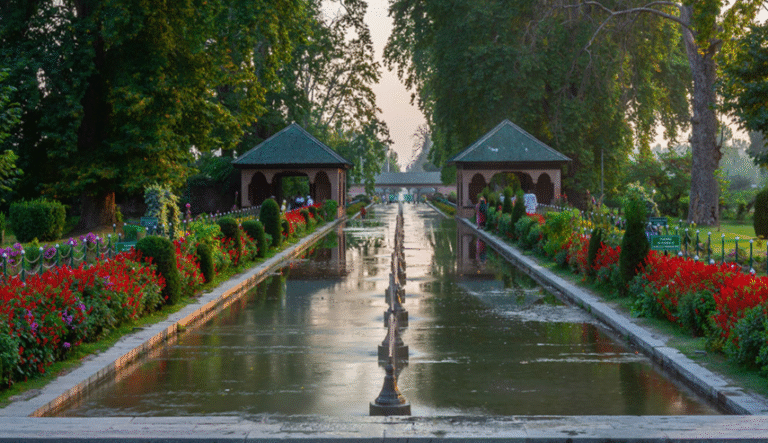 Untitled design (49)