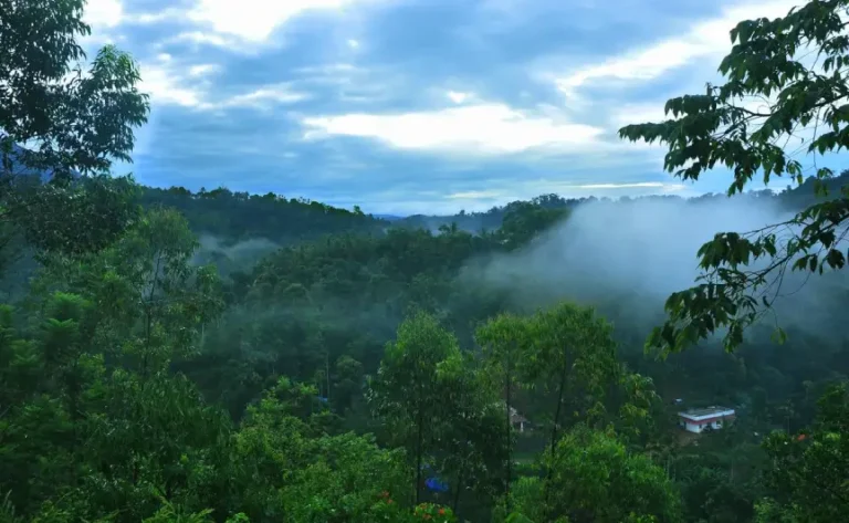 munnar-honeymoon-tour1