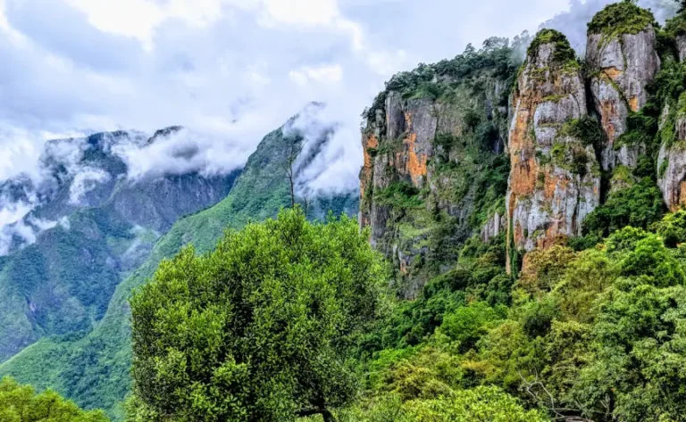 western-ghats-tour-with-mysore1