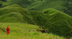 dzukou-valley-trek-2