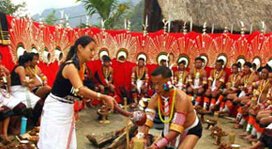 hornbill-festival-tour-2
